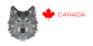we the north
